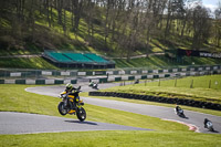 Lower Group Yellow Bikes